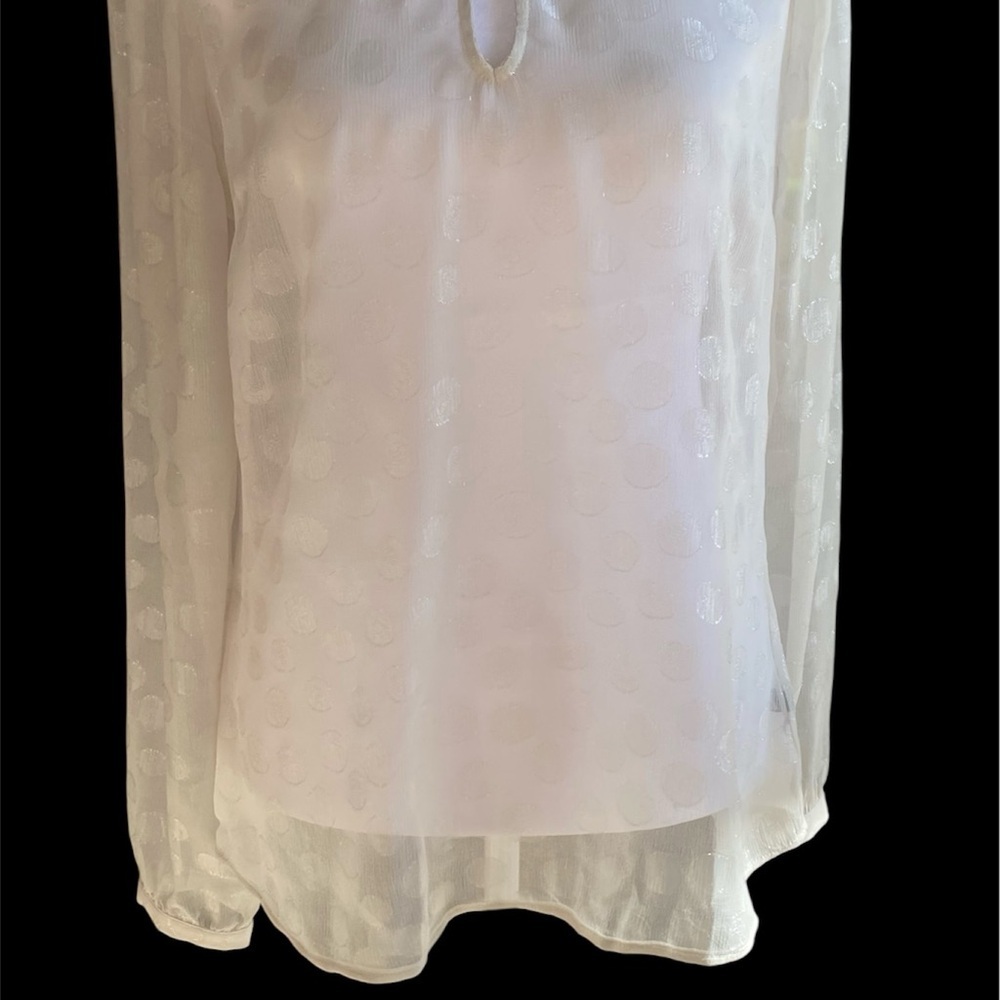 The Limited Sheer Elegant Beige Women’s Size Small Blouse